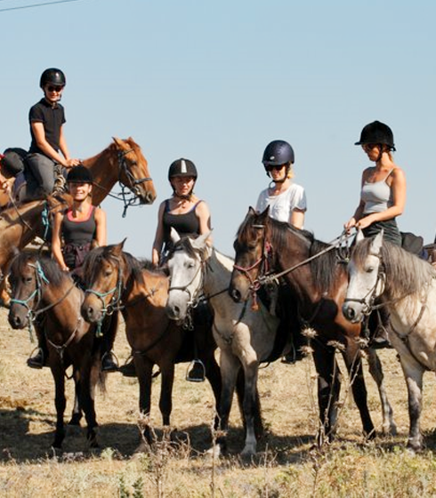 Horse-Riding-Tours.png